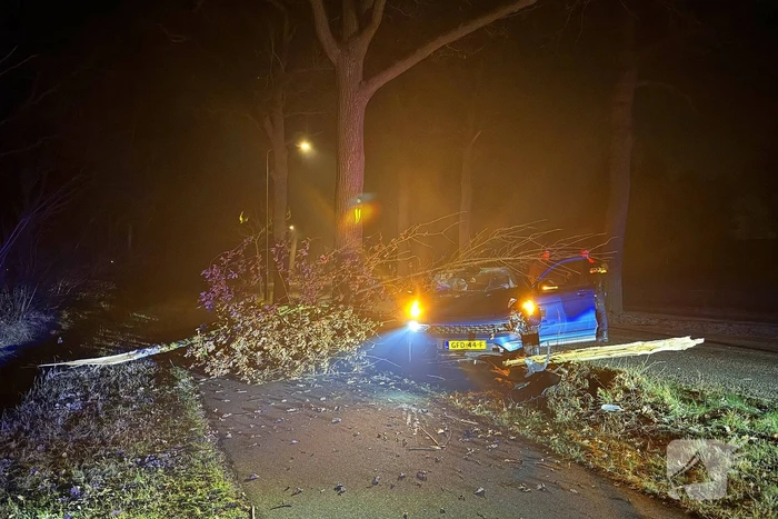 Automobilist eindigt tegen boom