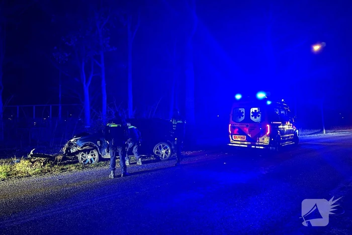 Automobilist eindigt tegen boom