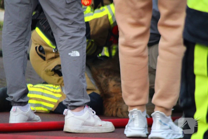 Flinke rookontwikkeling bij brand in winkel