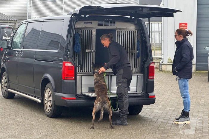 Invallen en arrestaties om drugshandel