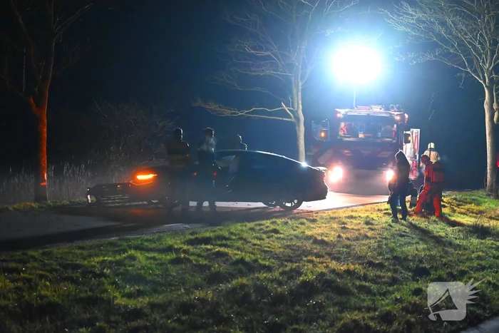Automobilist klapt op boom