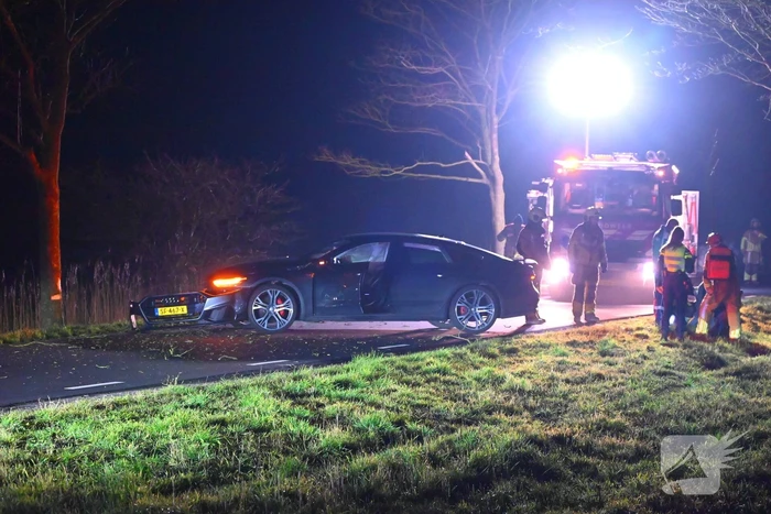 Automobilist klapt op boom