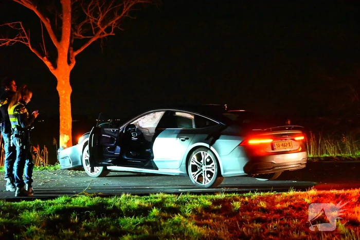Automobilist klapt op boom