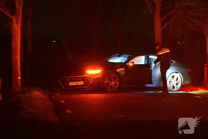 Automobilist klapt op boom