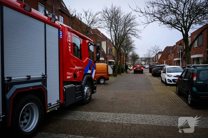 nieuws castor katwijk
