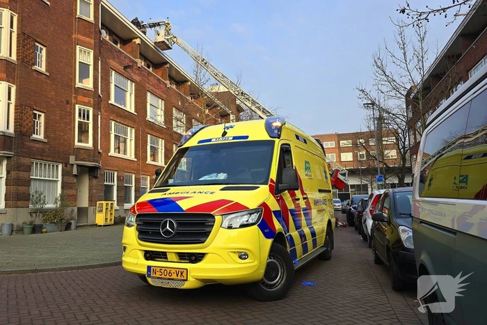 nieuws insulindestraat rotterdam