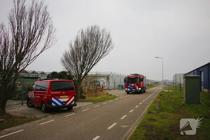 milieu trappenberglaan rijnsburg