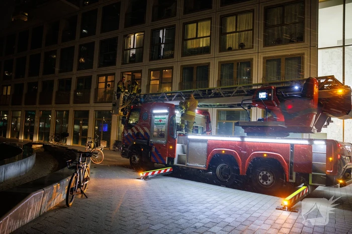 Meeuw komt vast te zitten op balkon