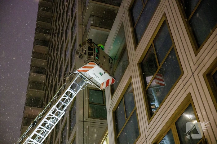 Meeuw komt vast te zitten op balkon