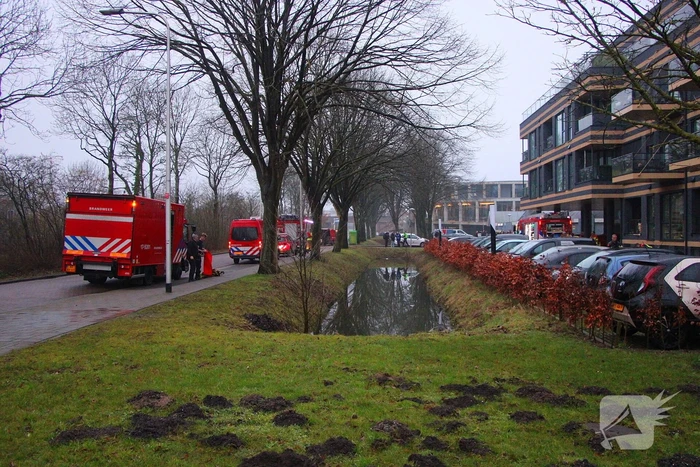Flinke rook ontwikkeling bij grote brand in appartement