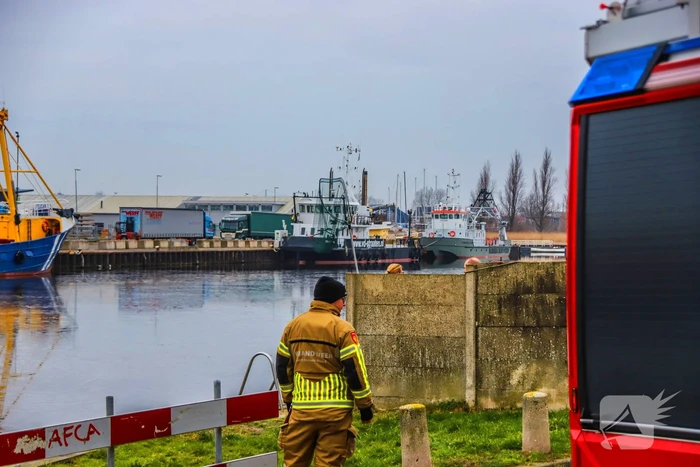 Kat te water hulpdiensten kunnen dier niet redden