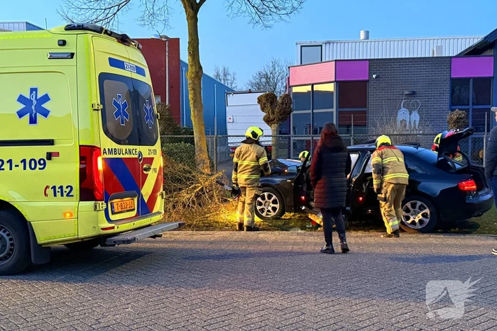 Automobilist verliest macht over stuur en klapt op boom
