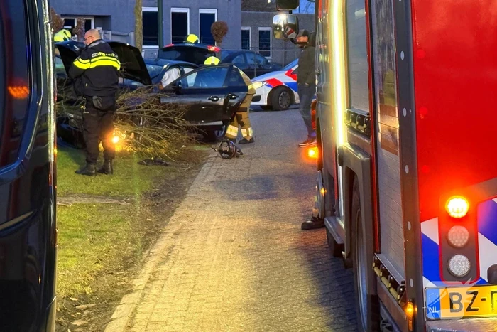 Automobilist verliest macht over stuur en klapt op boom