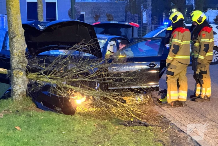 Automobilist verliest macht over stuur en klapt op boom