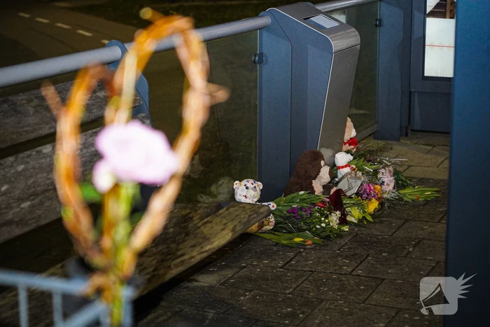nieuws burgemeester detmersweg - n206 zoeterwoude