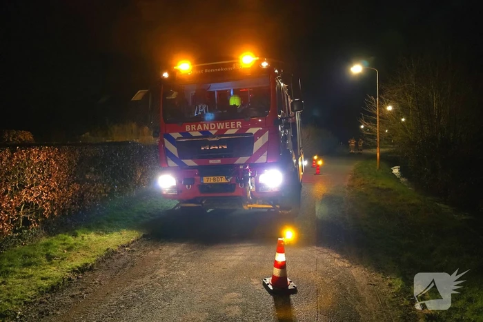 Brandweer bevrijdt duif uit schoorsteen