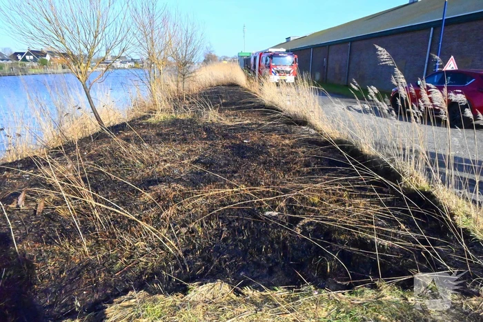 Flinke oppervlakte riet verbrand