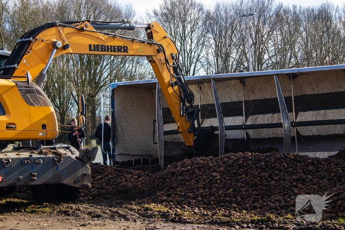 Vrachtwagentrailer met aardappelen kantelt