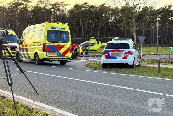 ongeval eekhoorn - n618 sint-oedenrode