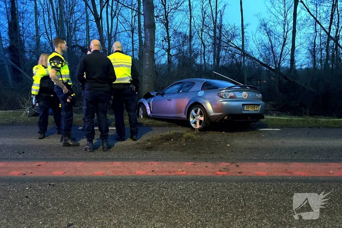 Gewonde nadat auto tegen boom klapt