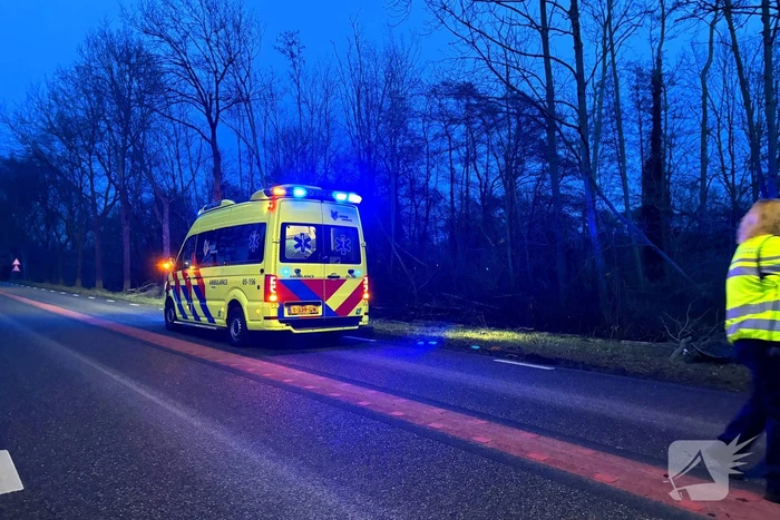 Gewonde nadat auto tegen boom klapt