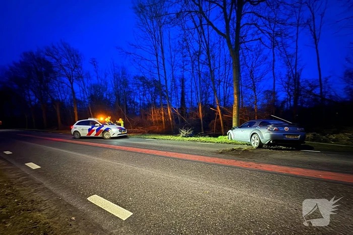 Gewonde nadat auto tegen boom klapt