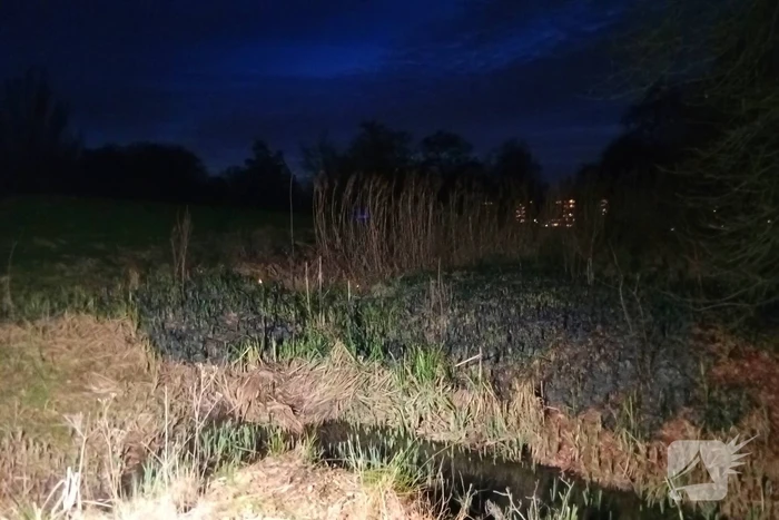 Brandweer blust brandend riet