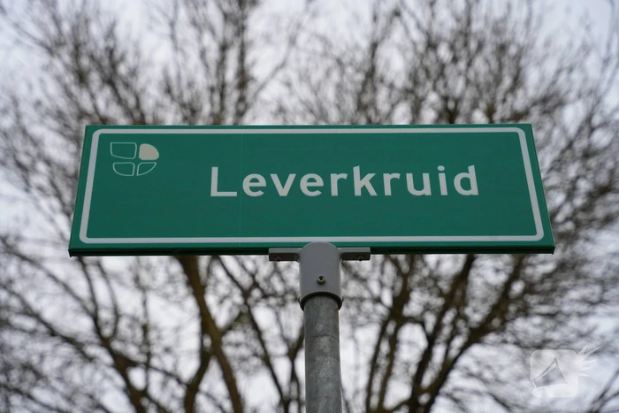Meerdere autobanden lek gestoken