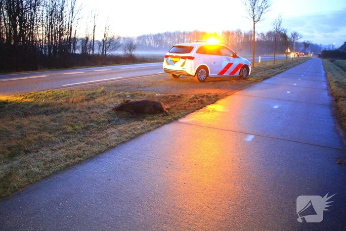 ongeval maaseikerweg - n292 3,0 weert