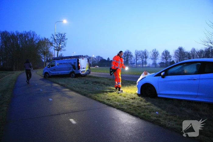 Wilde zwijnen sterven na aanrijding met voertuigen