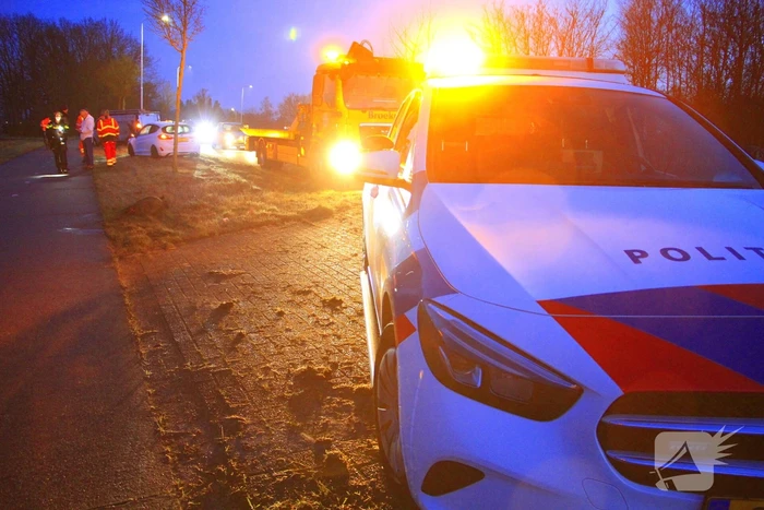 Wilde zwijnen sterven na aanrijding met voertuigen