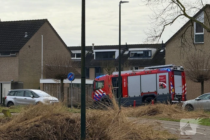 Politie en omstanders halen man uit water