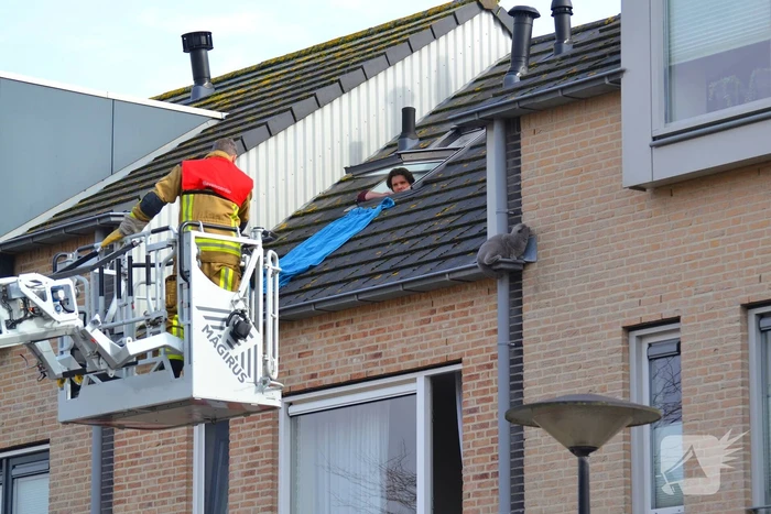 nieuws begijnenweide heemskerk