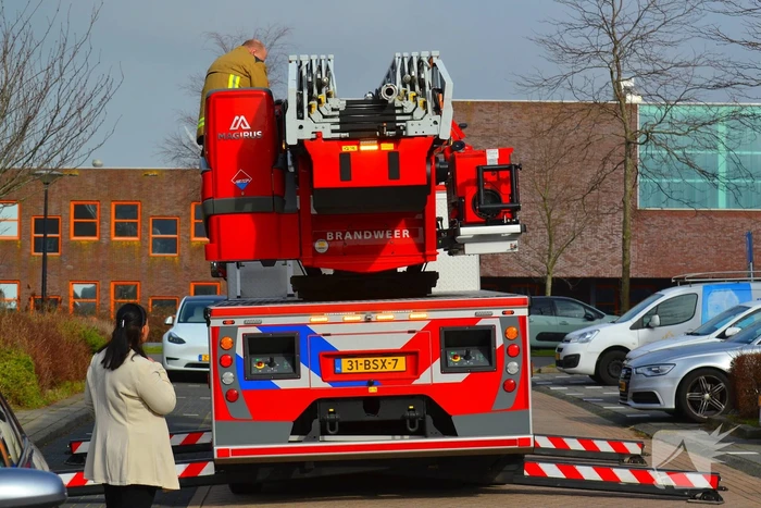 Kat veilig van dak gehaald