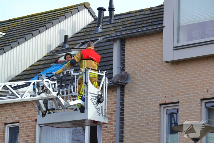 Kat veilig van dak gehaald