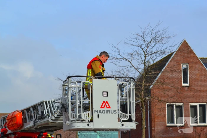 Kat veilig van dak gehaald