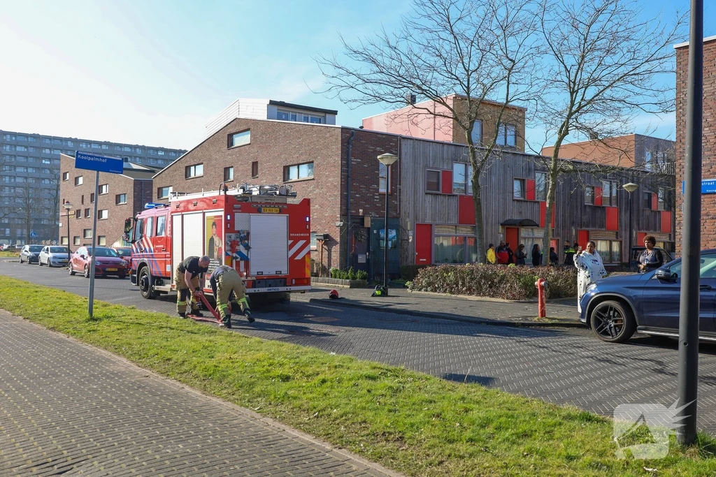 Koolpalmhof Amsterdam 112 