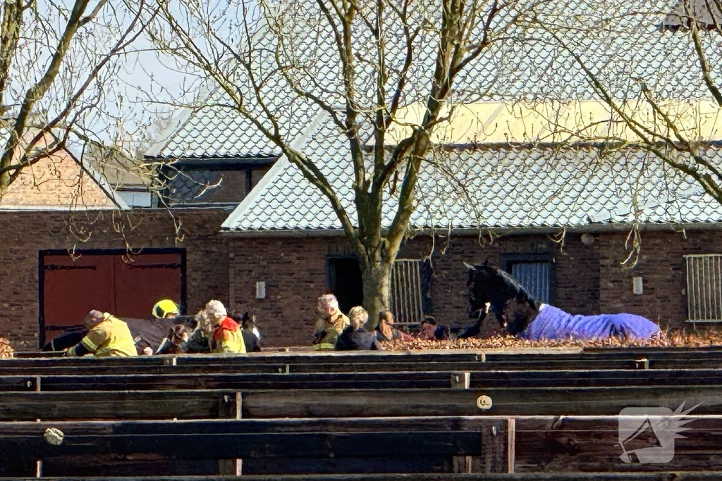 Bolst 112 nieuws Erp 