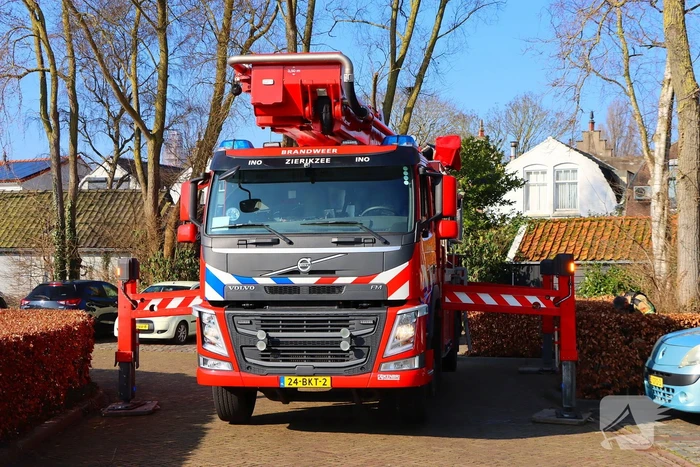Dierenambulance en brandweer helpen kat uit boom