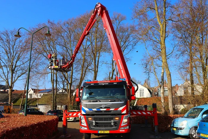 Dierenambulance en brandweer helpen kat uit boom