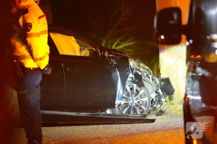 Automobilist botst tegen boom
