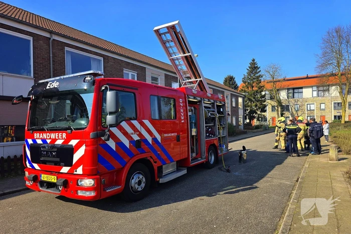brand ganzeweide ede