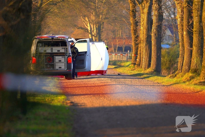 55-jarige bestuurder omgekomen na botsing tegen boom