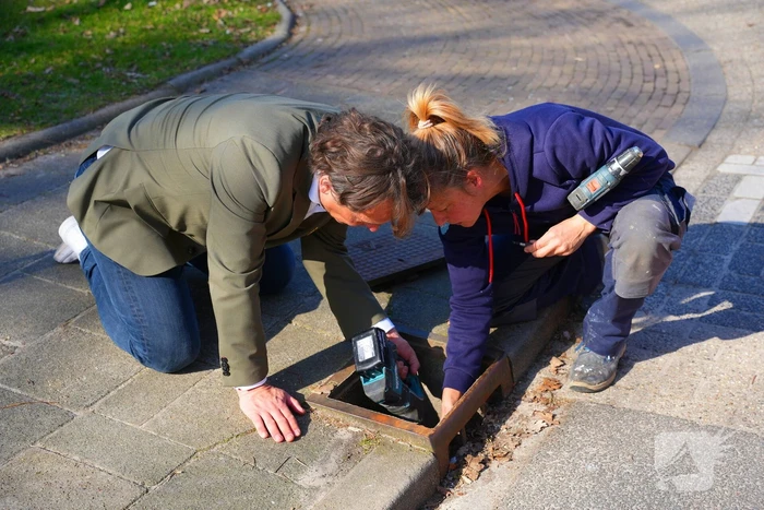 Wethouder plaatst paddentrap
