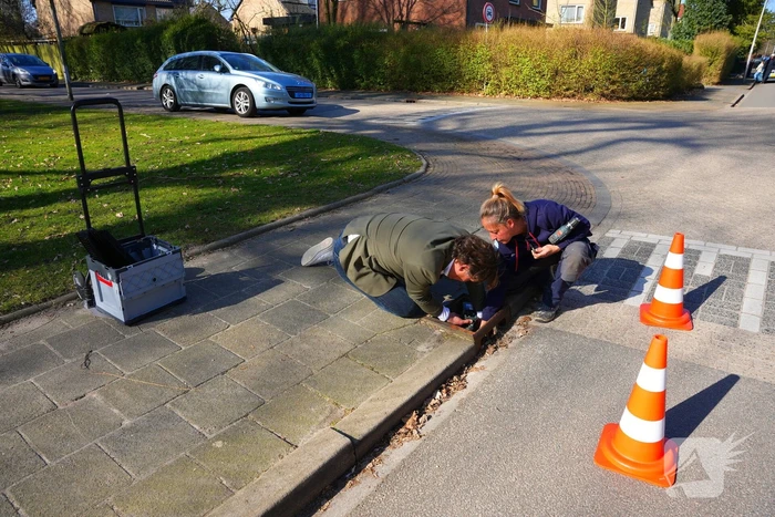 Wethouder plaatst paddentrap