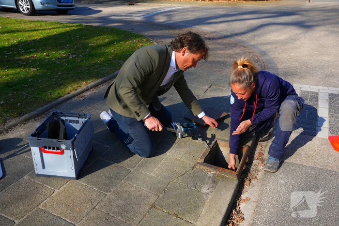 Wethouder plaatst paddentrap