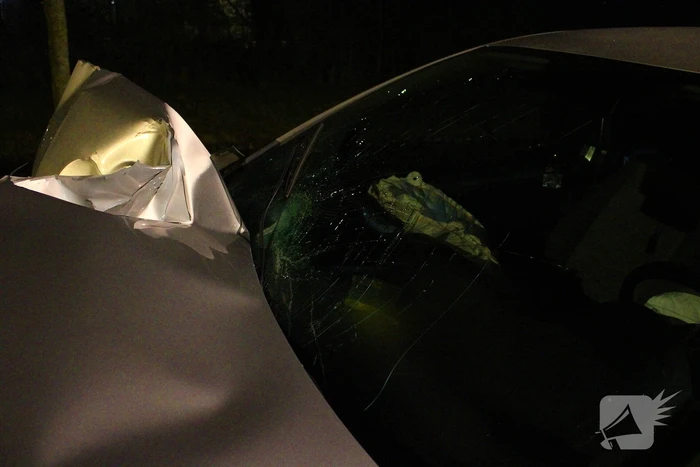 Automobilist vliegt uit de bocht en botst tegen lantaarnpaal
