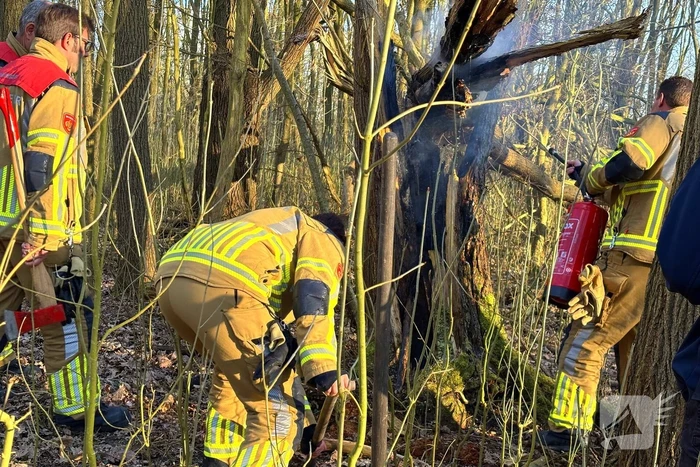 brand de gealanden leeuwarden