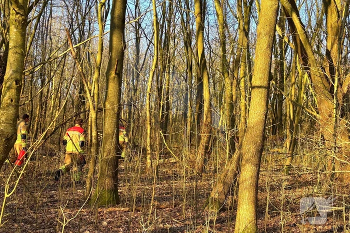 Brand gesticht in boomstronk