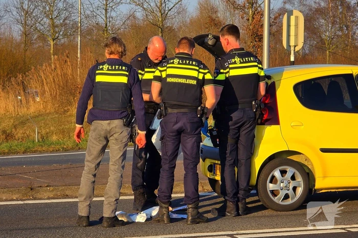 Aanhoudingen na geweldsincident op snelweg